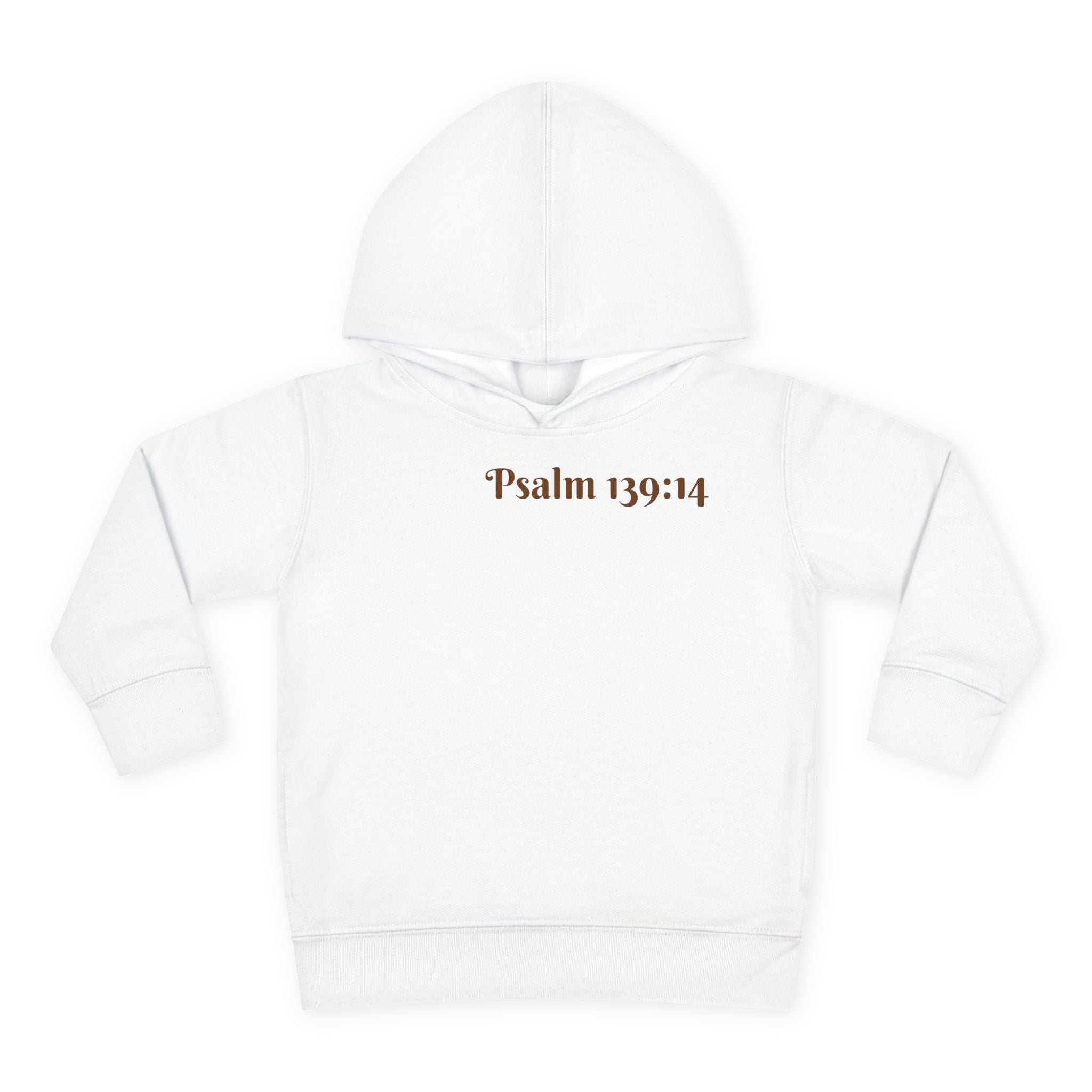 Boys Noah's Ark Hoodie with "Psalm 139:14" Scripture