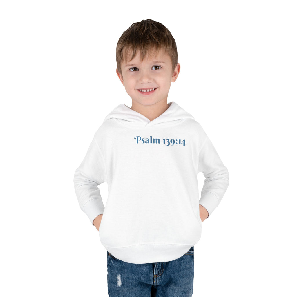 Boys Turtle Hoodie with "Psalm 139:14" Scripture.