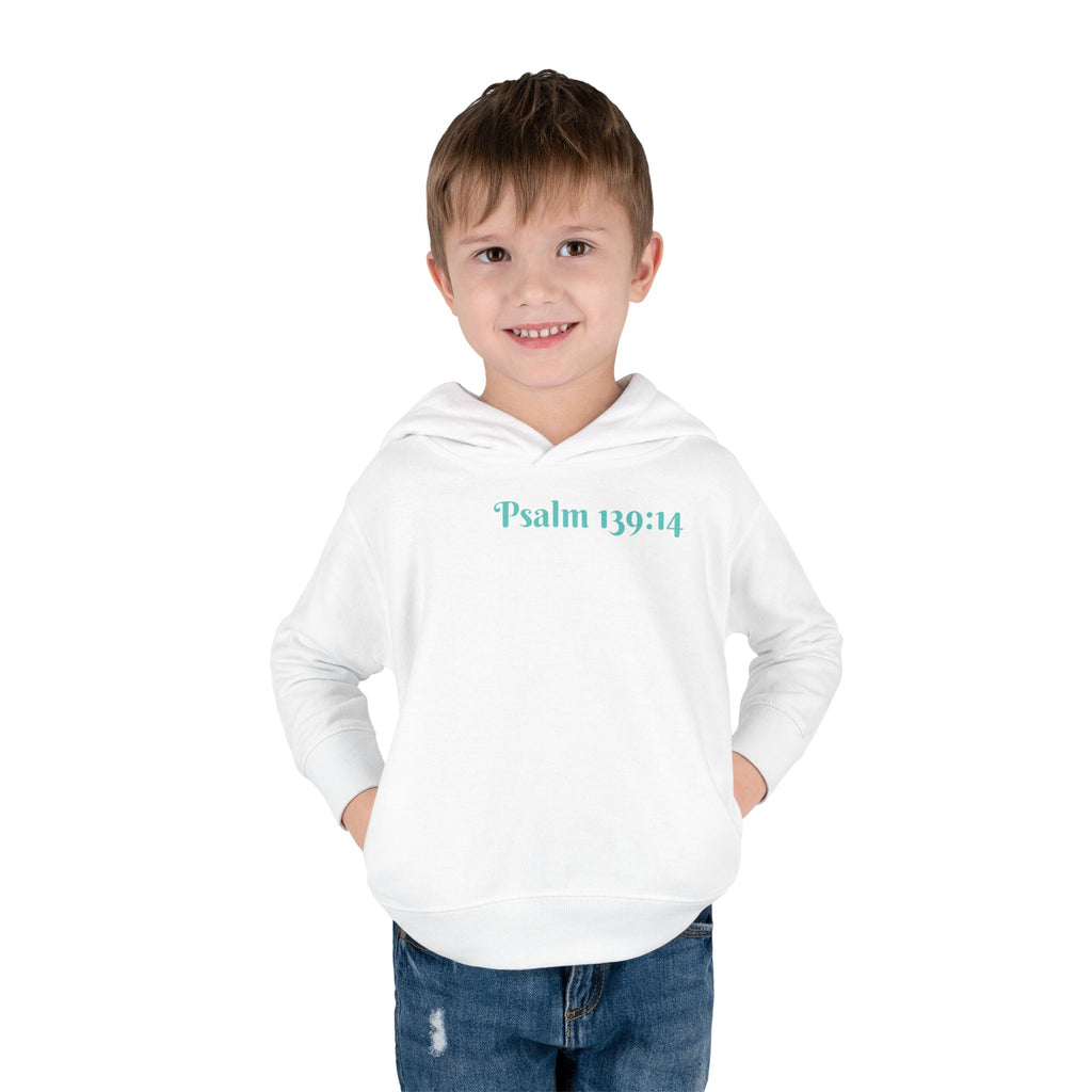 Boys Dinosaur Hoodie with "Psalm 139:14" Scripture