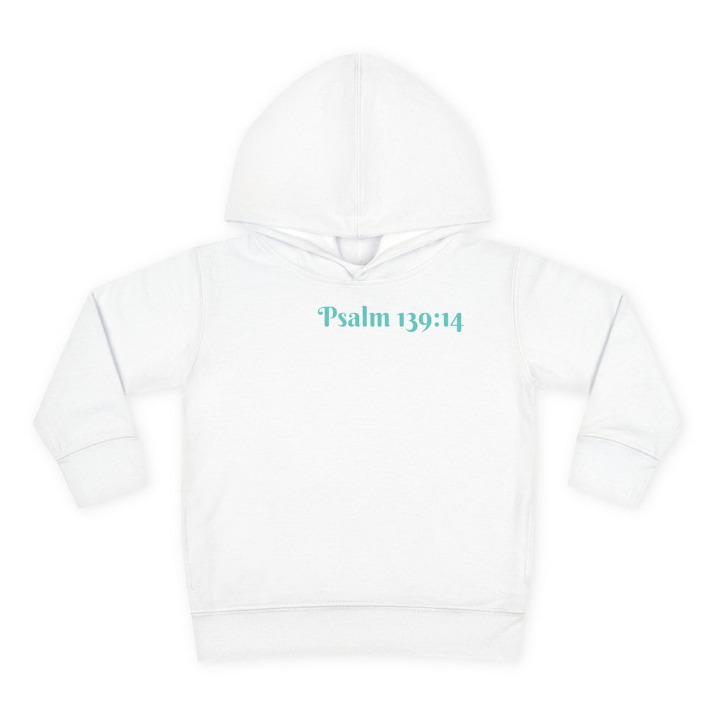 Boys Dinosaur Hoodie with "Psalm 139:14" Scripture